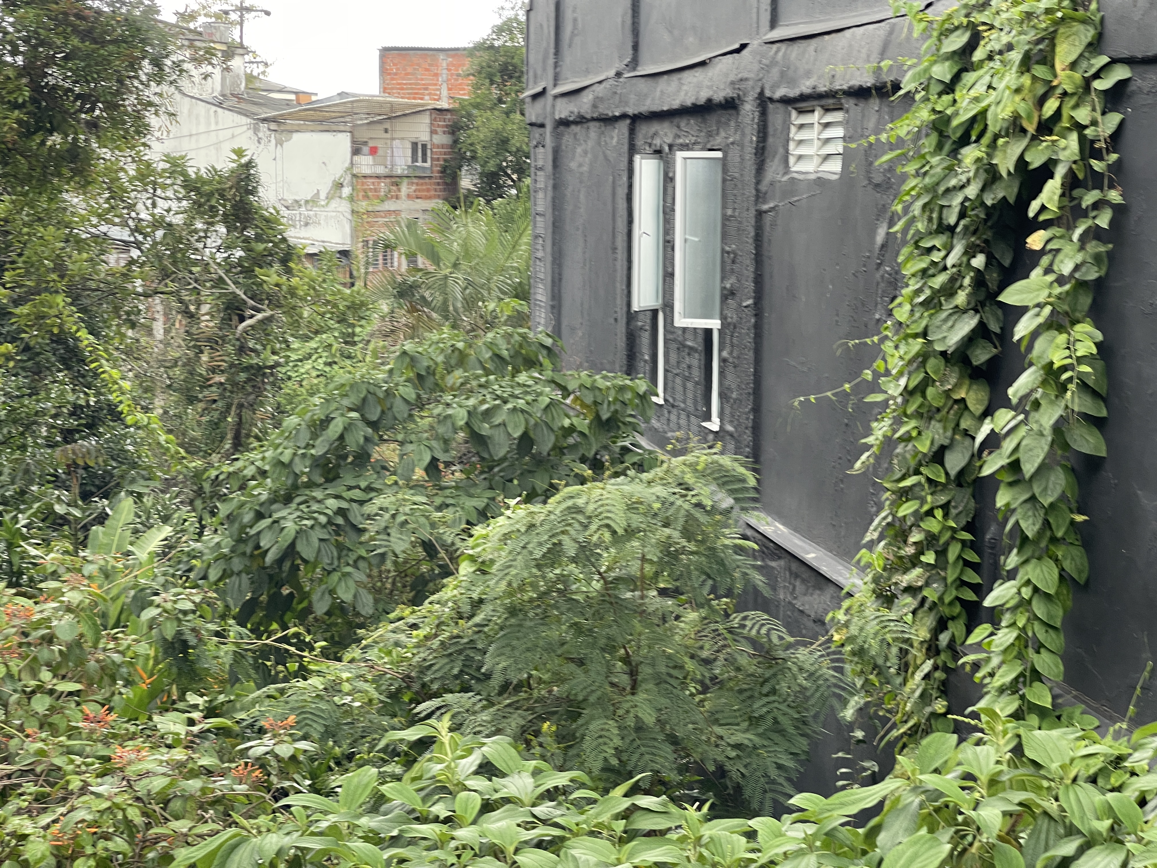 Foto de Lote / terreno en Venta en Galan, Armenia  - 6 - 279065396