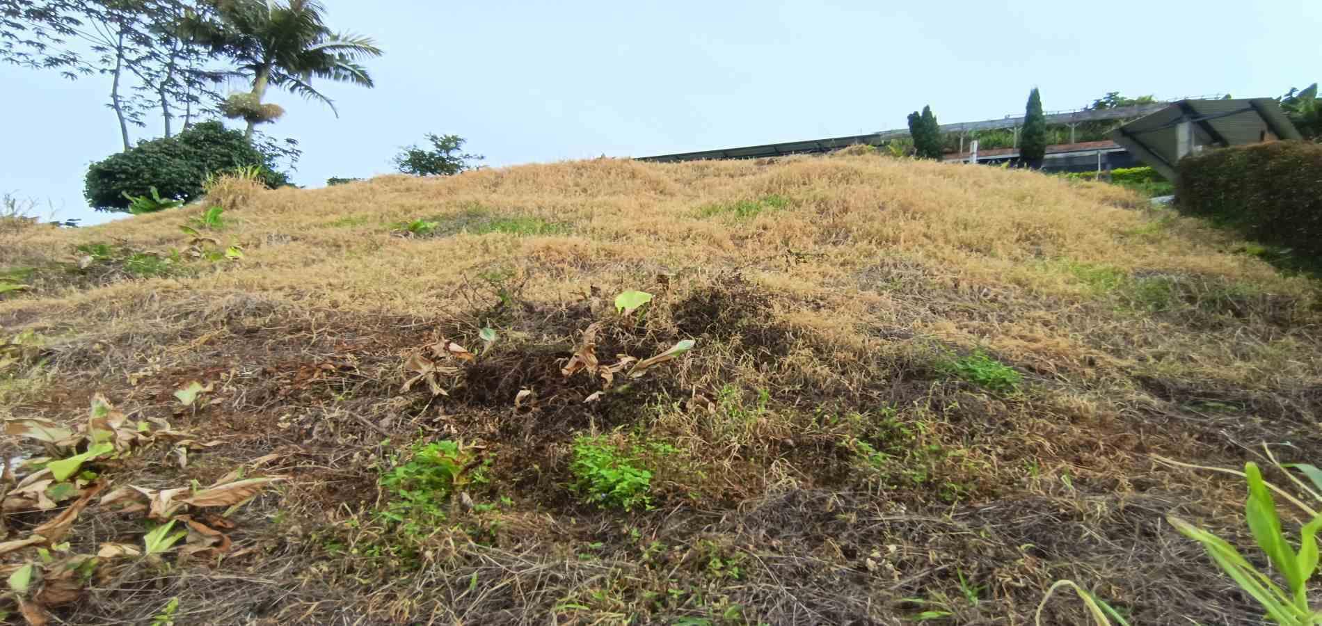 Foto de Lote / terreno en Arriendo en La linda, Manizales - 4 - 279069062