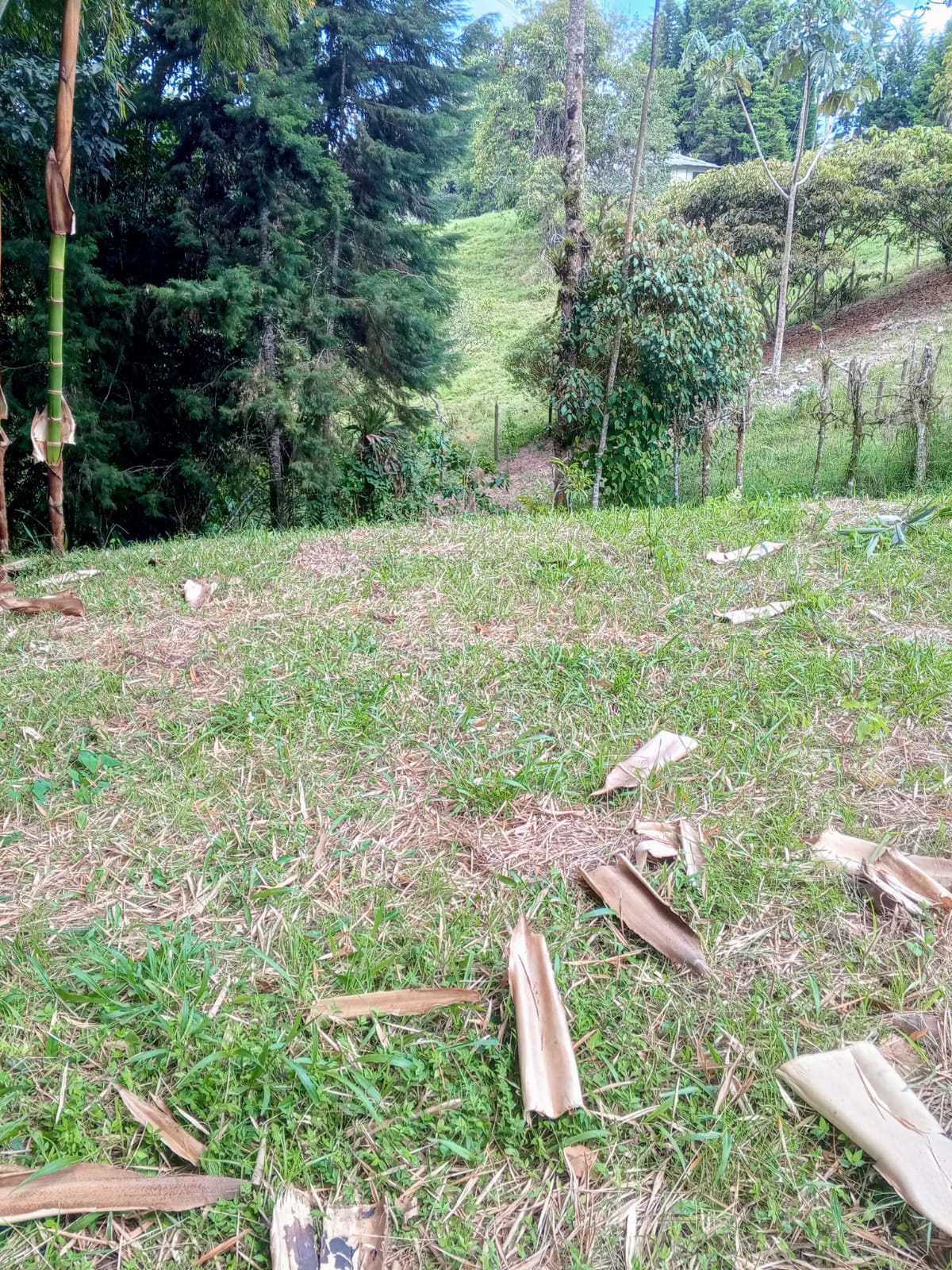 Foto de Lote / terreno en Venta en Via armenia, Pereira - 1 - 279062106