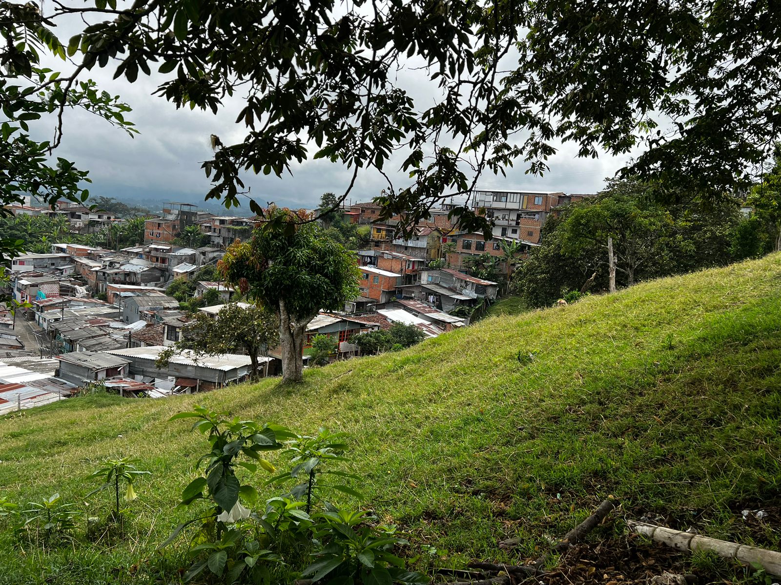 Foto de Lote / terreno en Venta en Altagracia, Pereira - 14 - 279056515