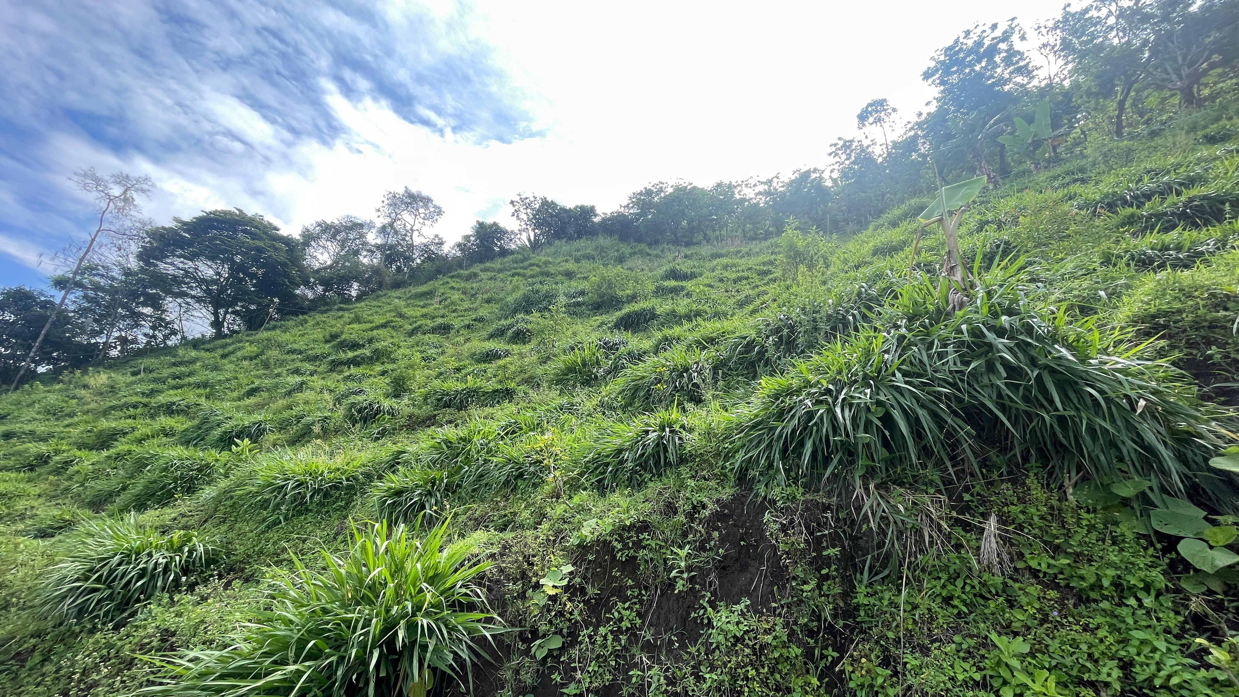 Foto de Finca en Venta en La cabaña, Manizales - 10 - 279062726
