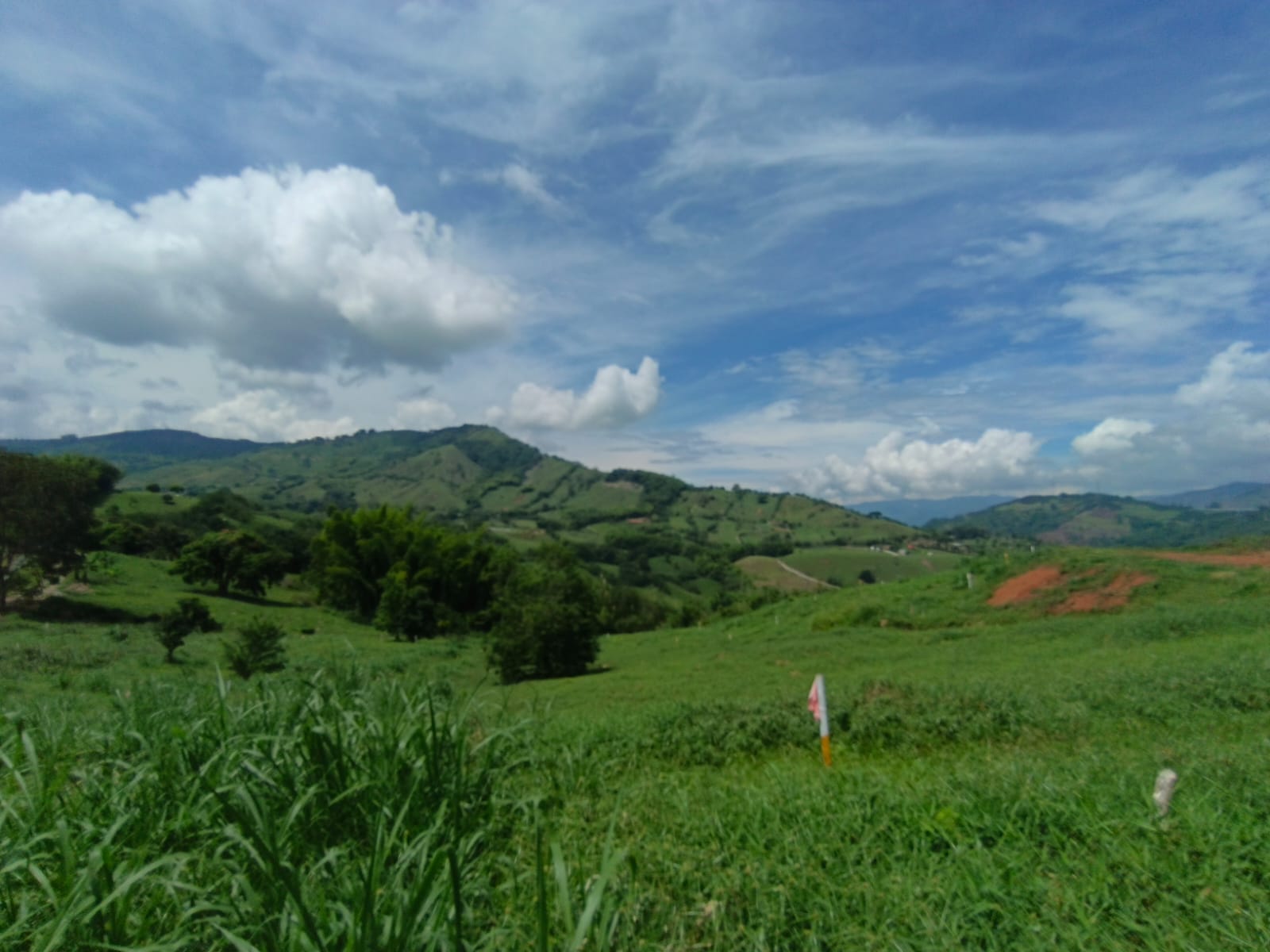 Foto de Lote / terreno en Venta en Vereda santagueda, Palestina - 3 - 279064397