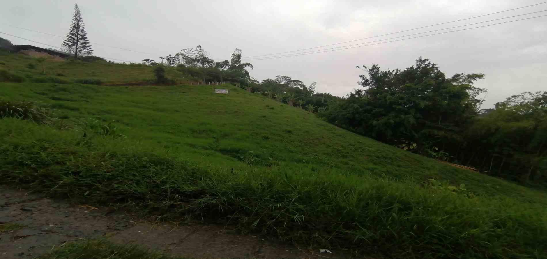 Foto de Lote / terreno para Venta en Av. la romelia el pollo, Dosquebradas - 279058705