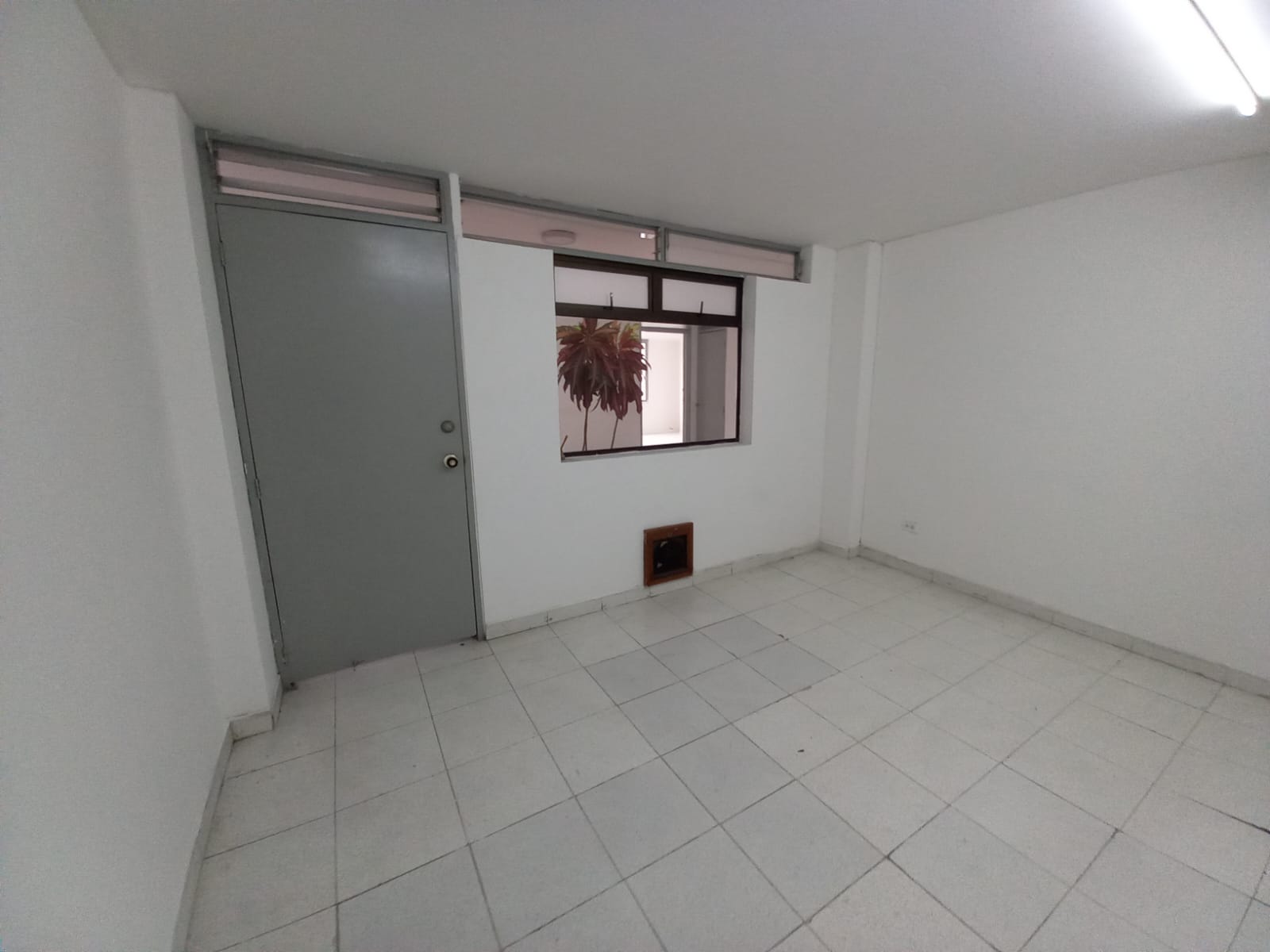 Foto de Oficina para Arriendo en Centro, Manizales - 18381