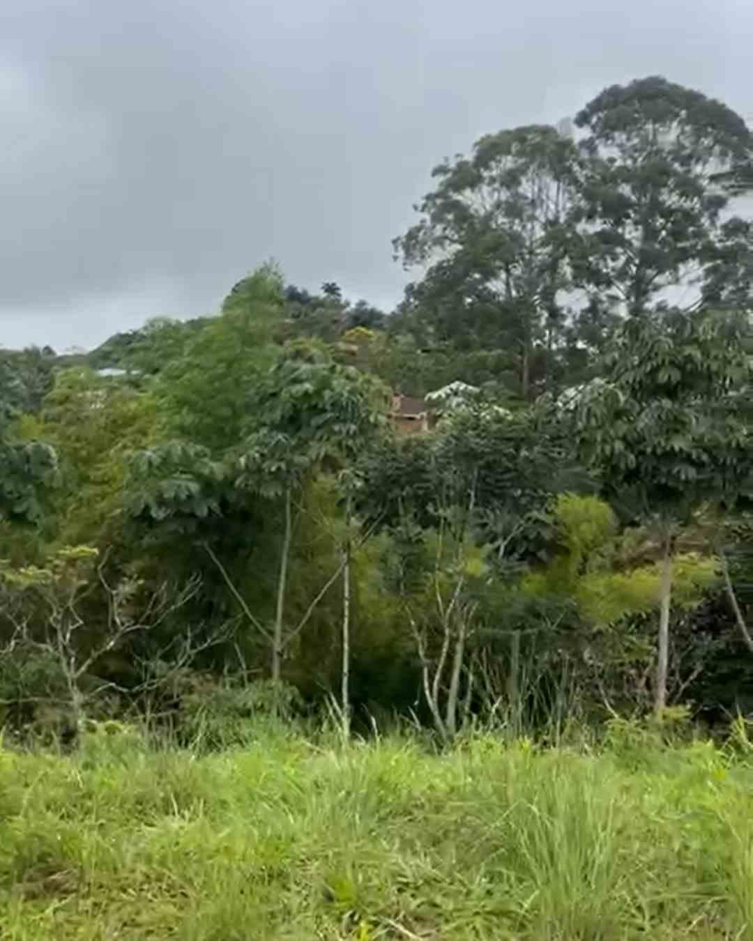 Foto de Lote / terreno en Venta en Via armenia, Pereira - 6 - 279063098