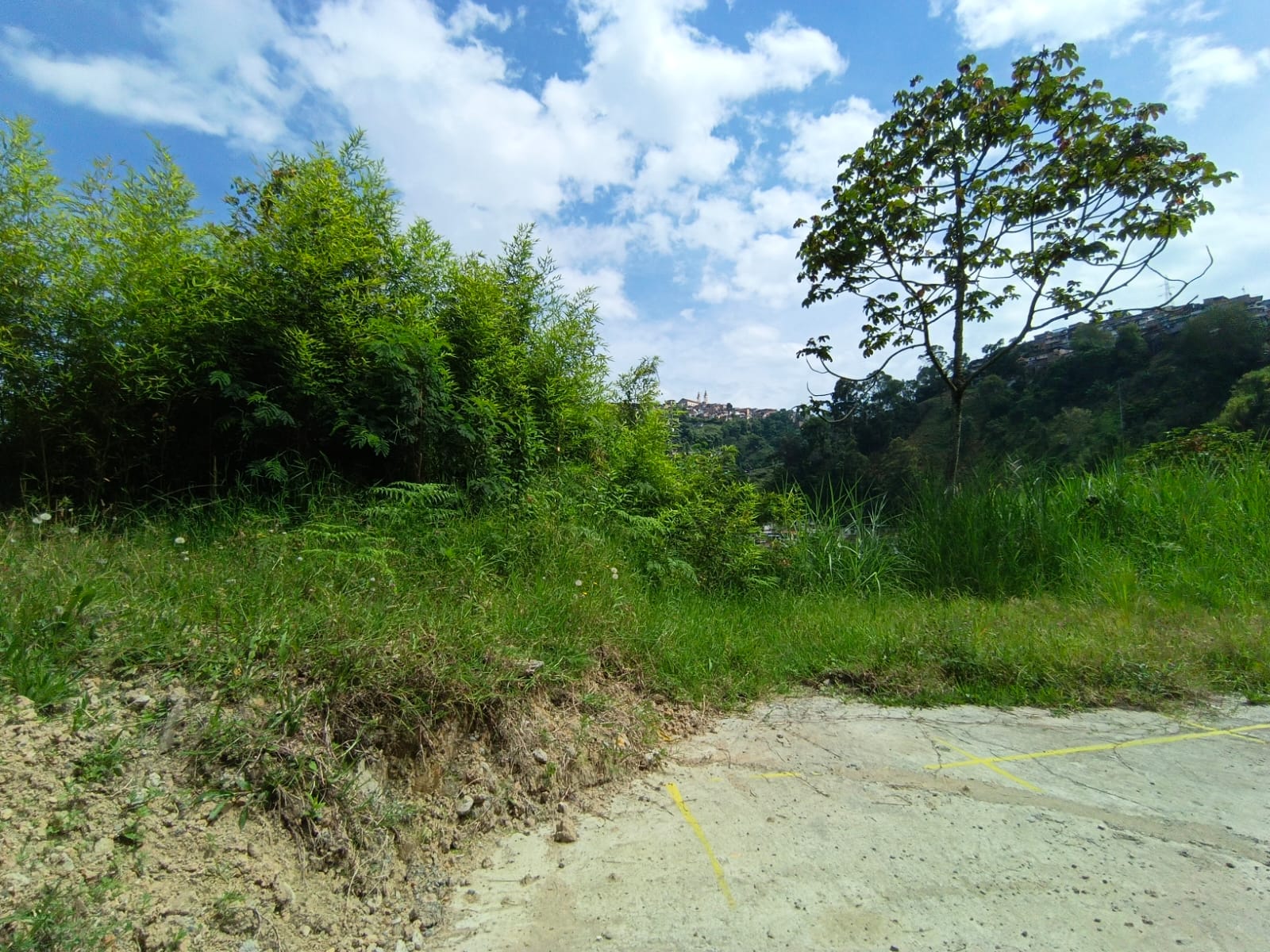Foto de Lote / terreno en Venta en Panamericana, Manizales - 16 - 279063718