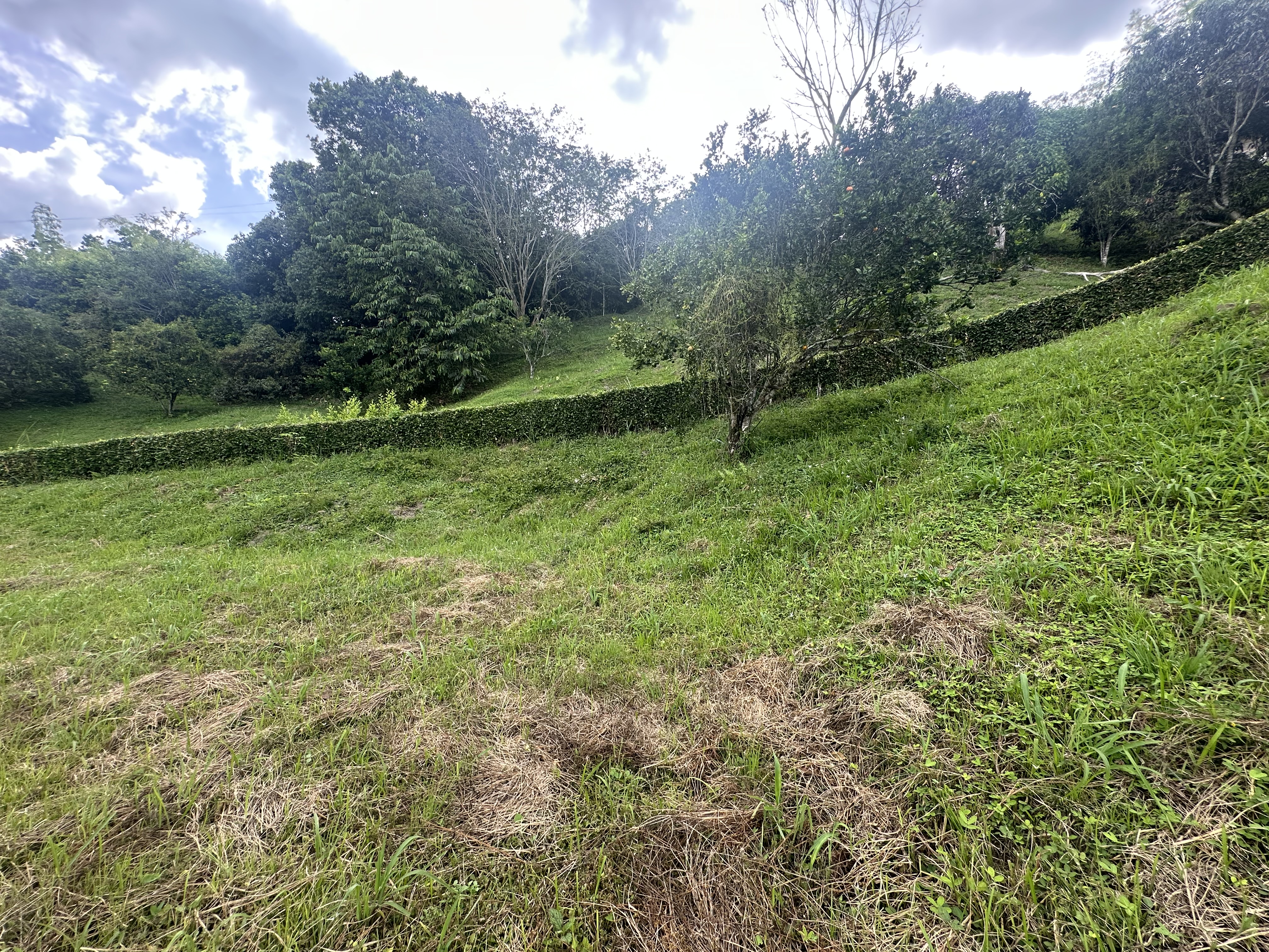 Foto de Lote / terreno en Venta en Via al valle, Armenia  - 15 - 279068482