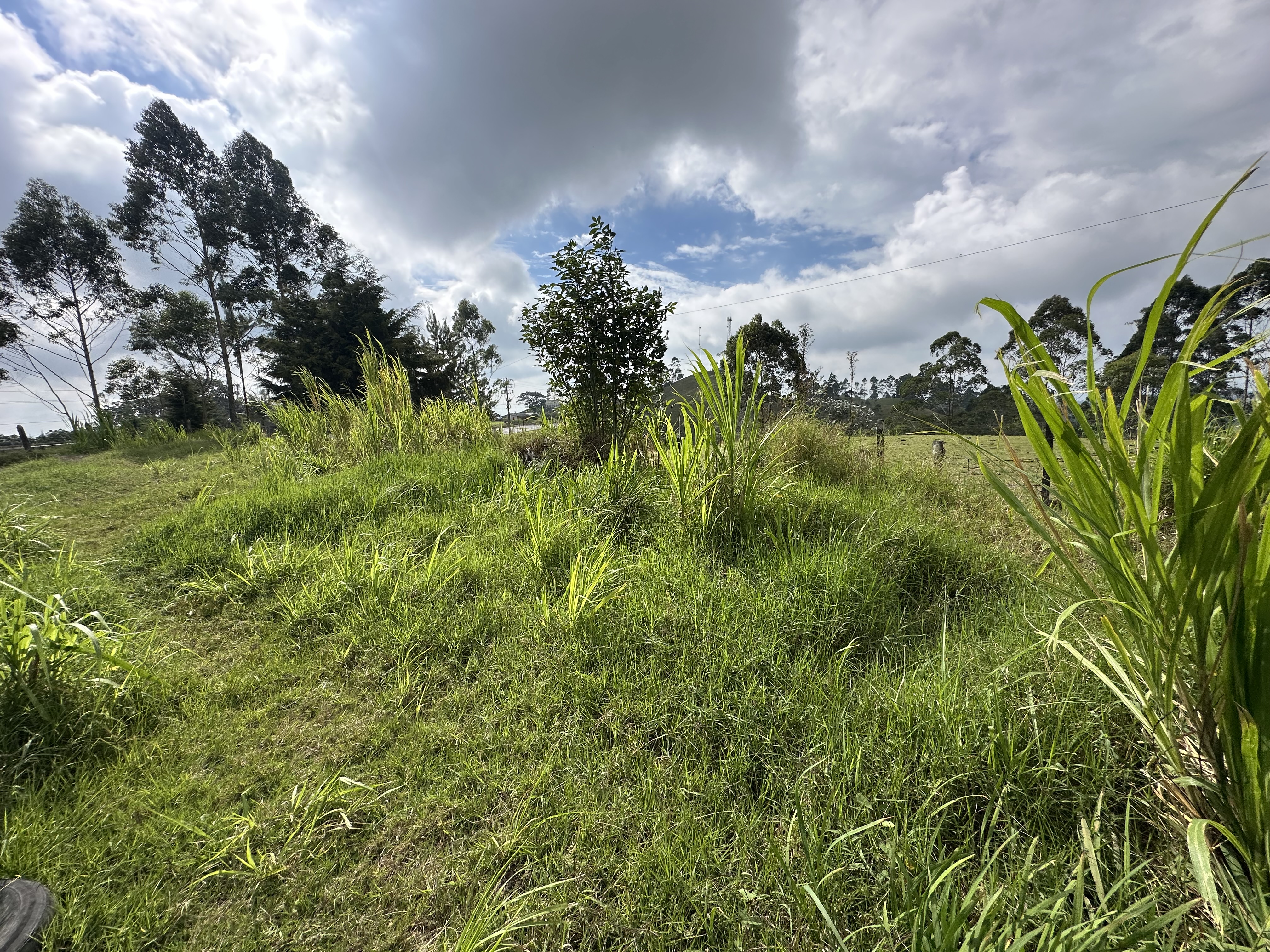 Foto de Lote / terreno en Venta en Via circasia, Armenia  - 4 - 279070024