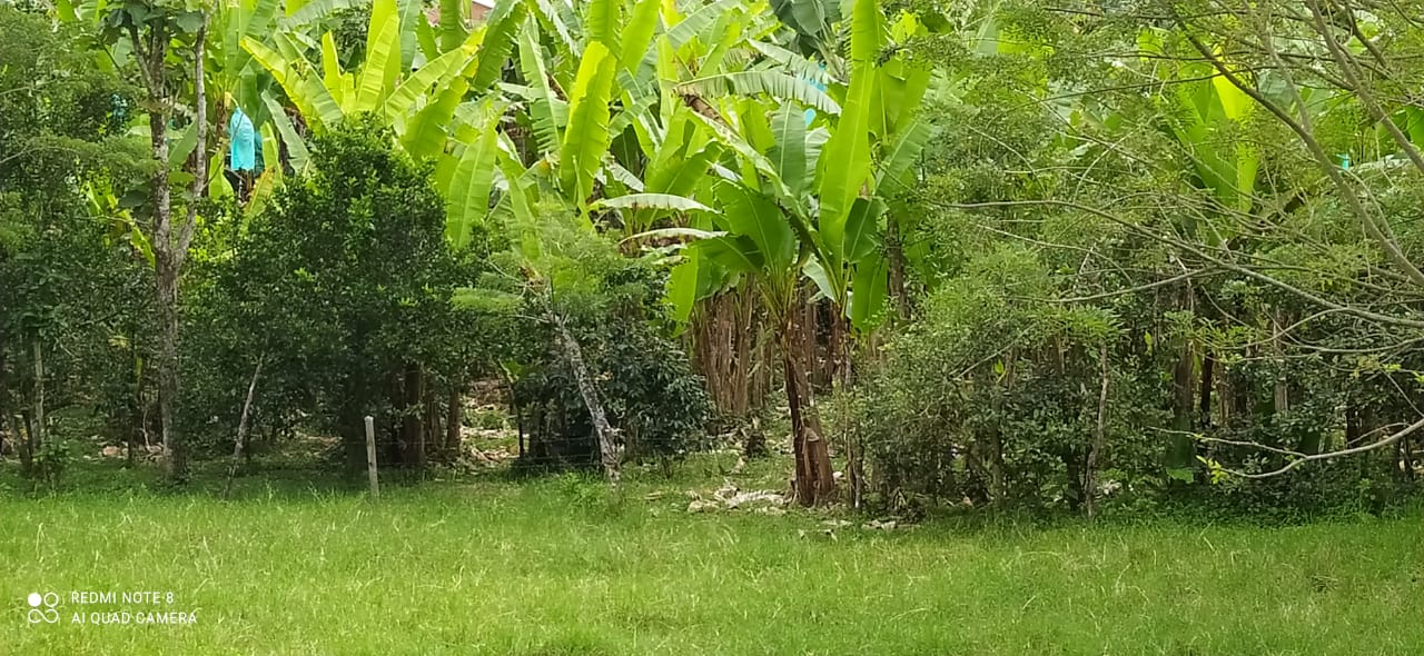 Foto de Lote / terreno en Venta en Altagracia, Pereira - 1 - 279057421