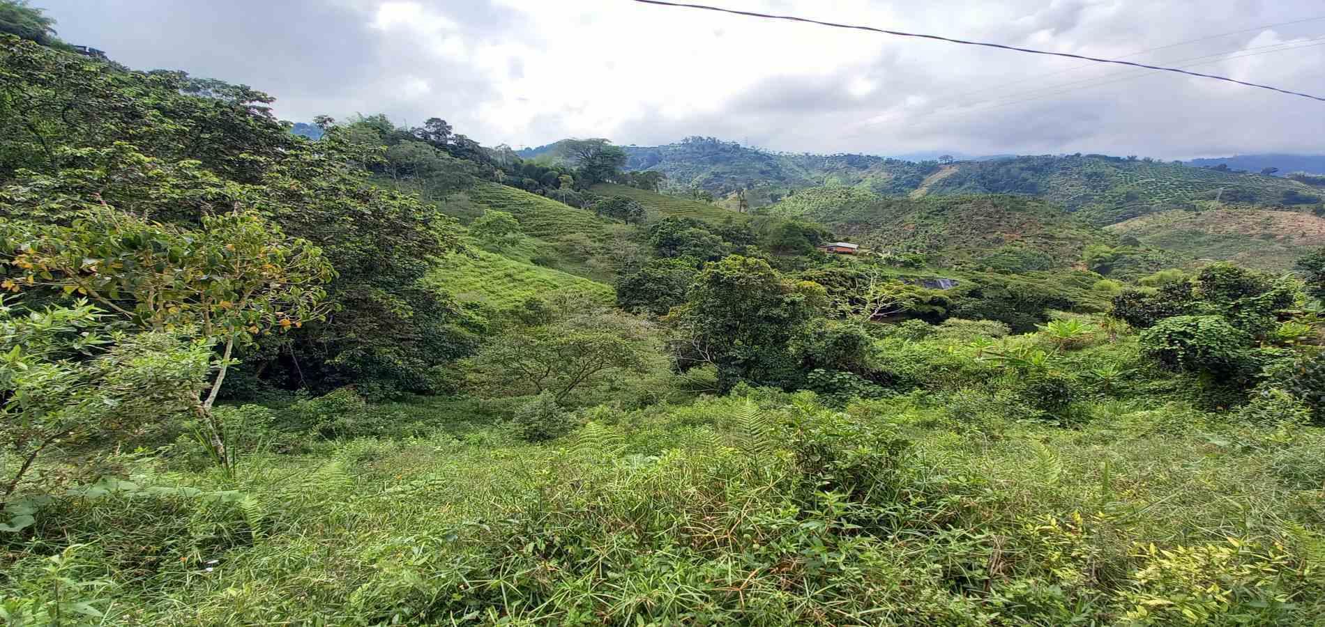 Foto de Lote / terreno en Venta en Vereda la trinidad, Manizales - 8 - 279062688