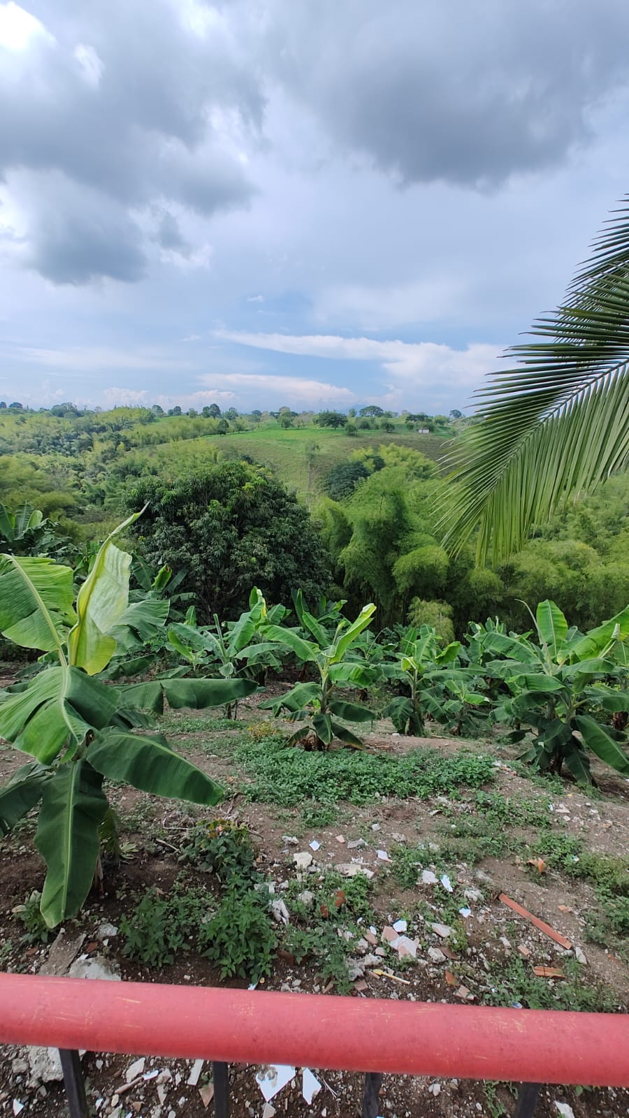 Foto de Finca en Venta en Via alcala, Armenia  - 17 - 279059945
