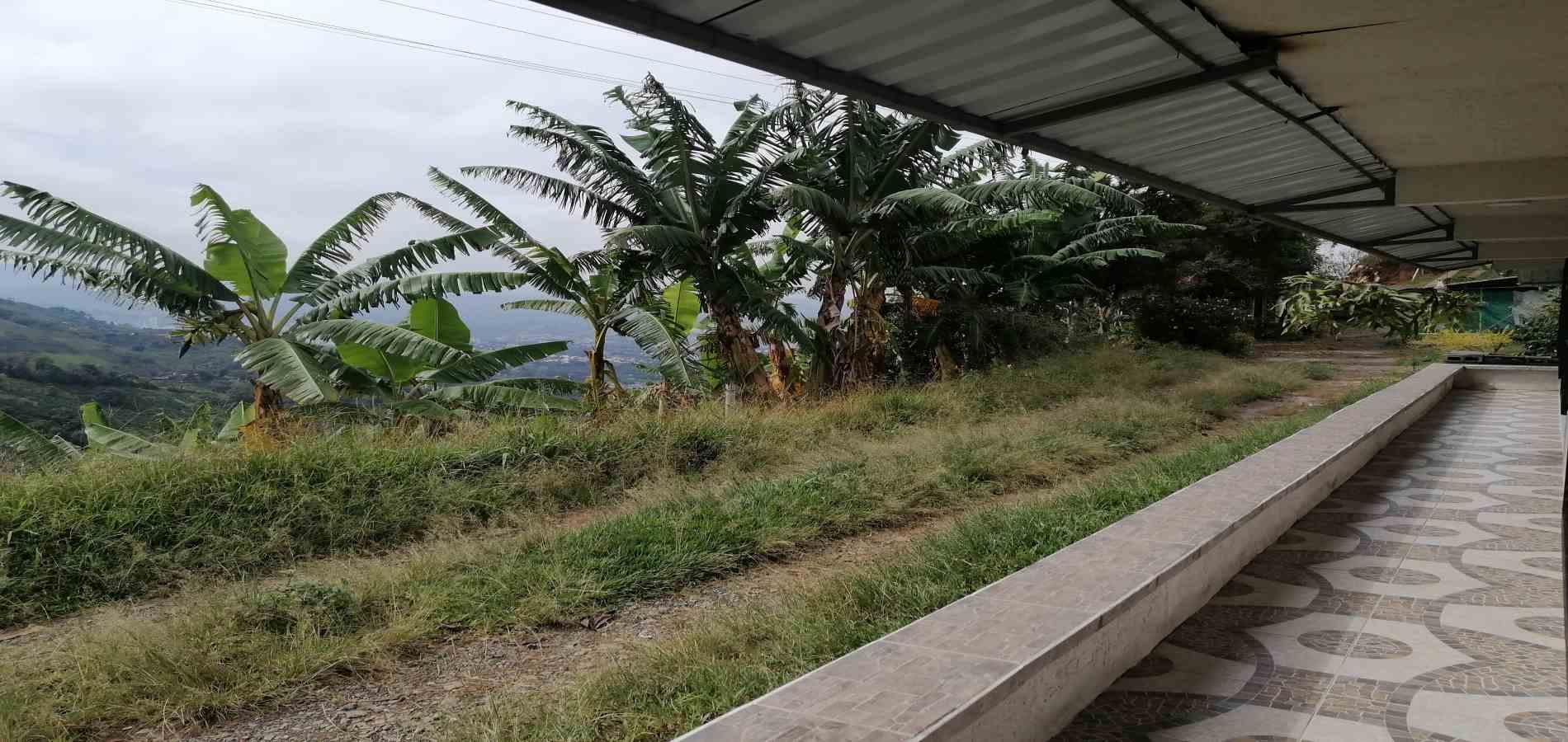 Foto de Finca en Venta en Parque industrial, Pereira - 19 - 279056903