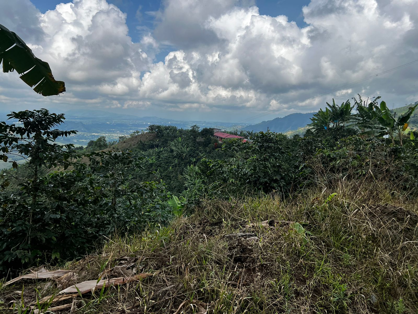 Foto de Finca en Venta en San vicente, Pereira - 2 - 279057869