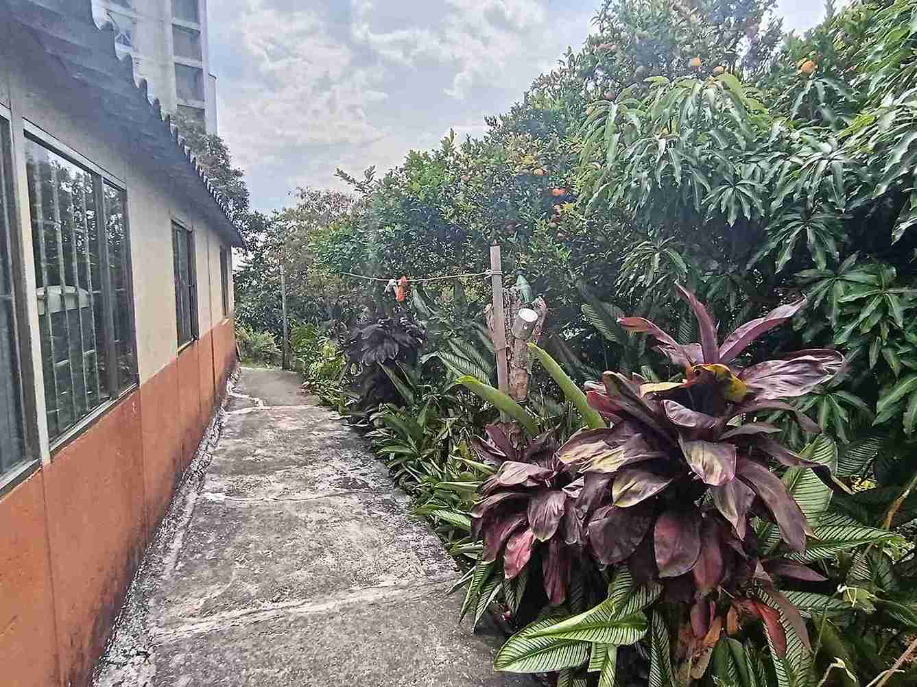 Foto de Lote / terreno en Venta en Avenida 19 norte, Armenia  - 6 - 279058970