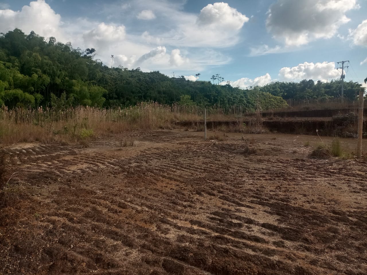 Foto de Lote / terreno en Venta en Via armenia, Pereira - 1 - 279052343