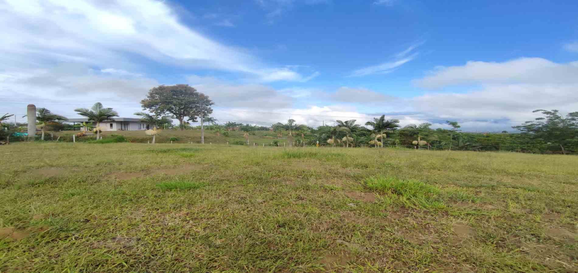 Foto de Lote / terreno en Venta en Cerritos, Pereira - 1 - 279063207