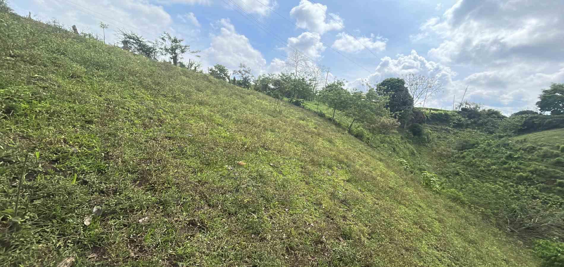 Foto de Lote / terreno para Venta en Via alcala, Pereira - 279066762