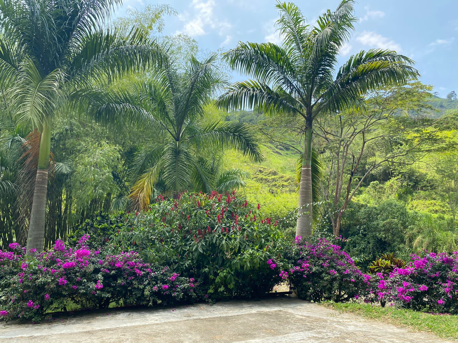 Foto de Finca en Venta en El guineo, Neira - 21 - 279053579