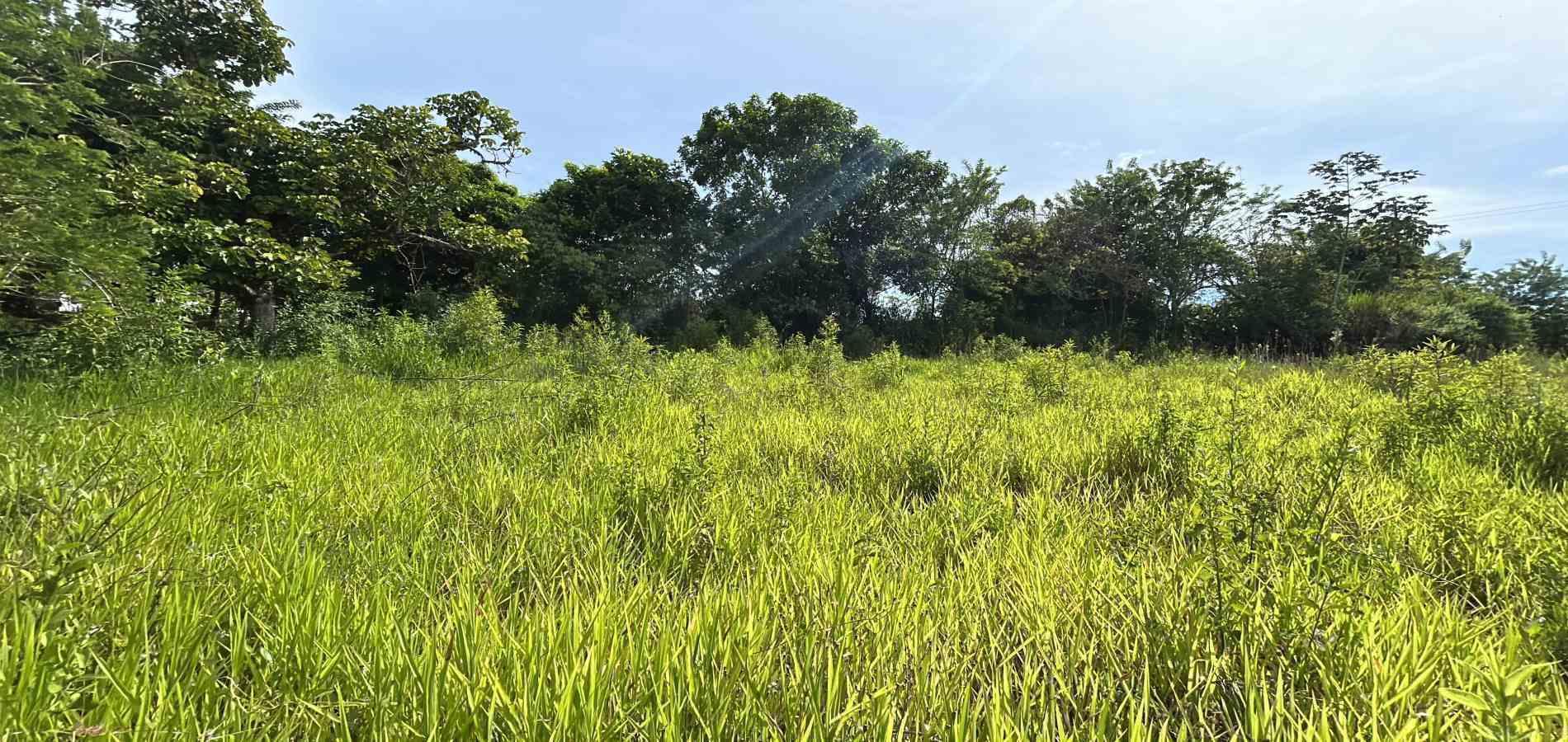 Foto de Lote / terreno en Venta en Cerritos, Pereira - 13 - 279068089