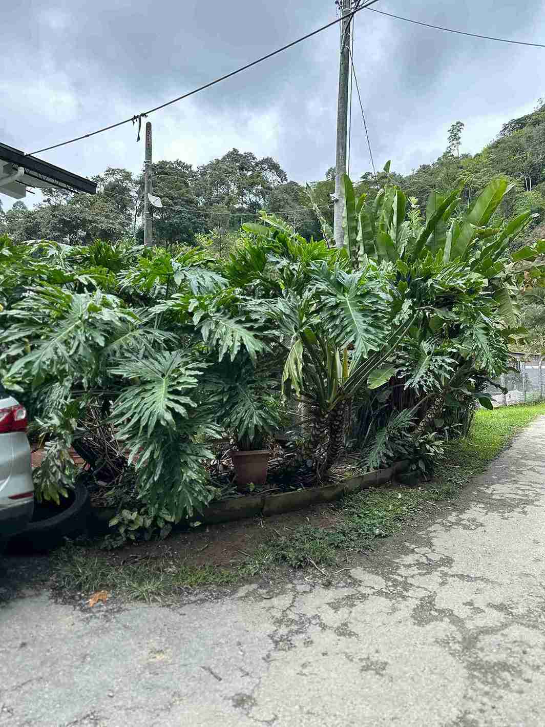 Foto de Casa campestre en Venta en La violeta, Manizales - 12 - 279057698