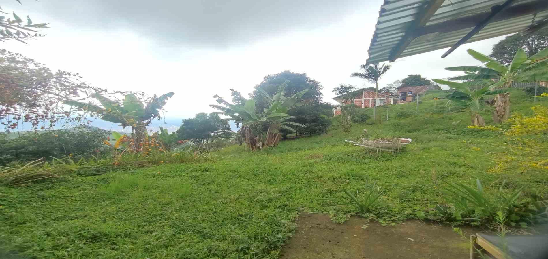 Foto de Finca en Venta en Vereda la independencia alto del nudo, Dosquebradas - 15 - 279065392
