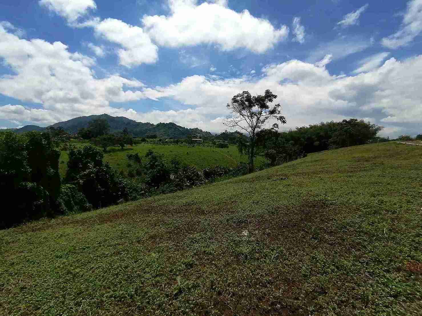 Foto de Lote / terreno en Venta en Combia, Pereira - 8 - 279060927