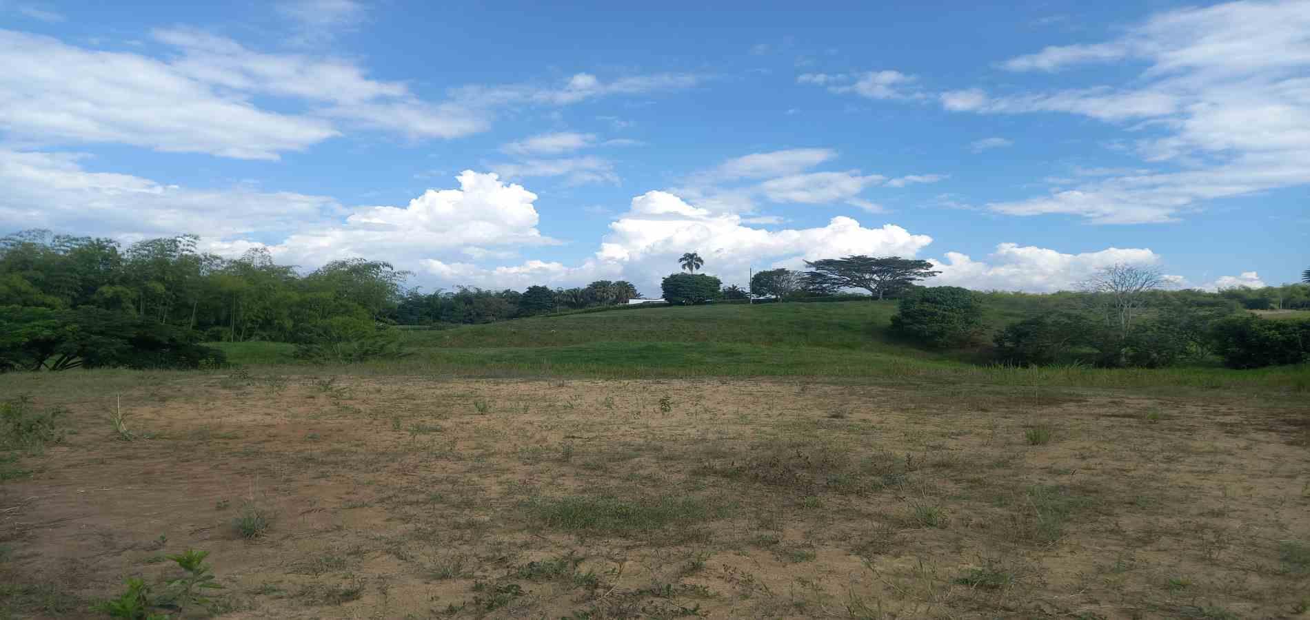 Foto de Lote / terreno en Venta en Cerritos, Pereira - 1 - 279064714