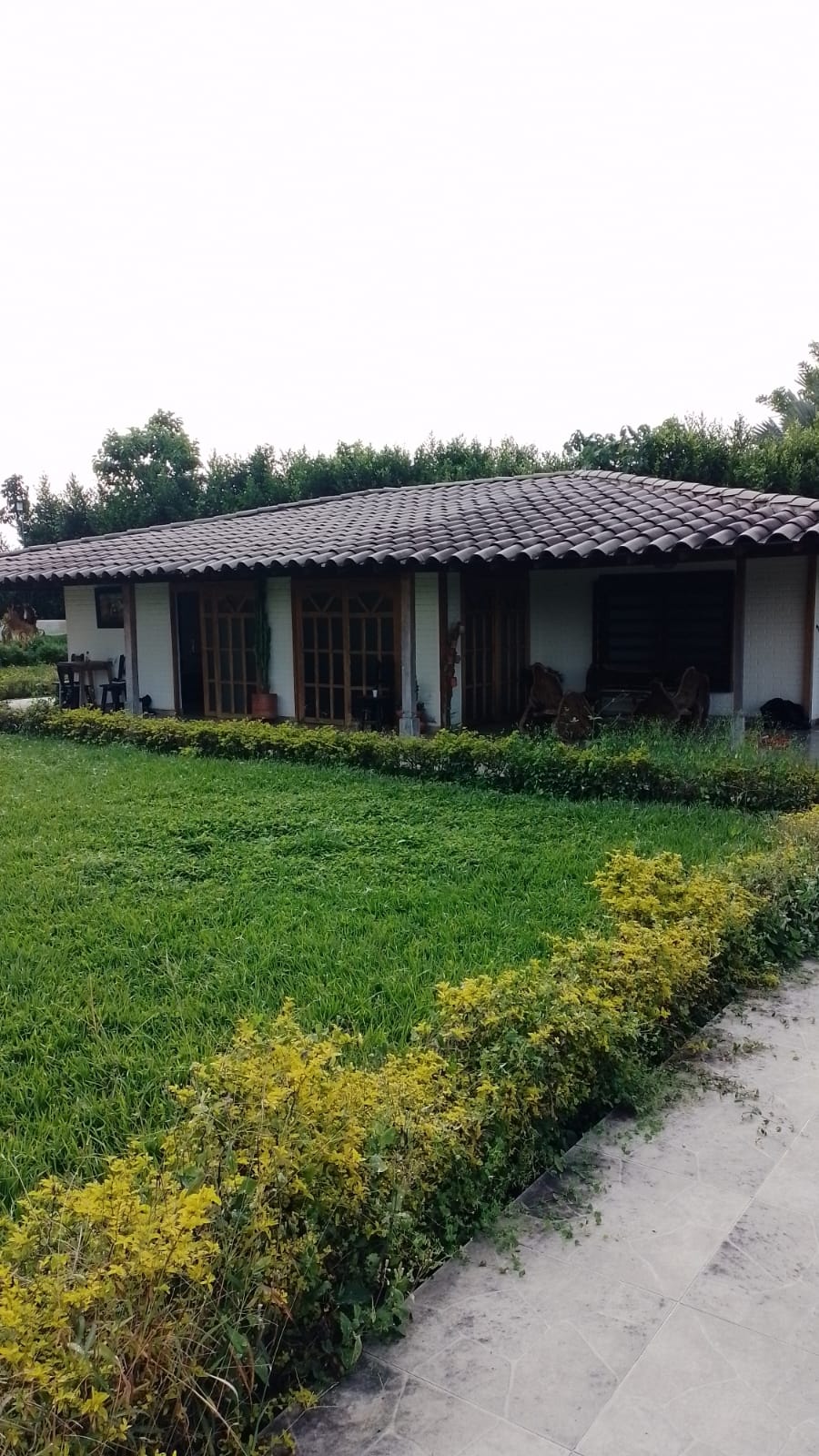 Foto de Finca en Venta en Via alcala, Pereira - 10 - 279064976