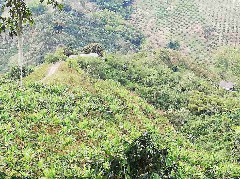 Foto de Lote / terreno en Venta en La cabaña, Manizales - 3 - 279020989