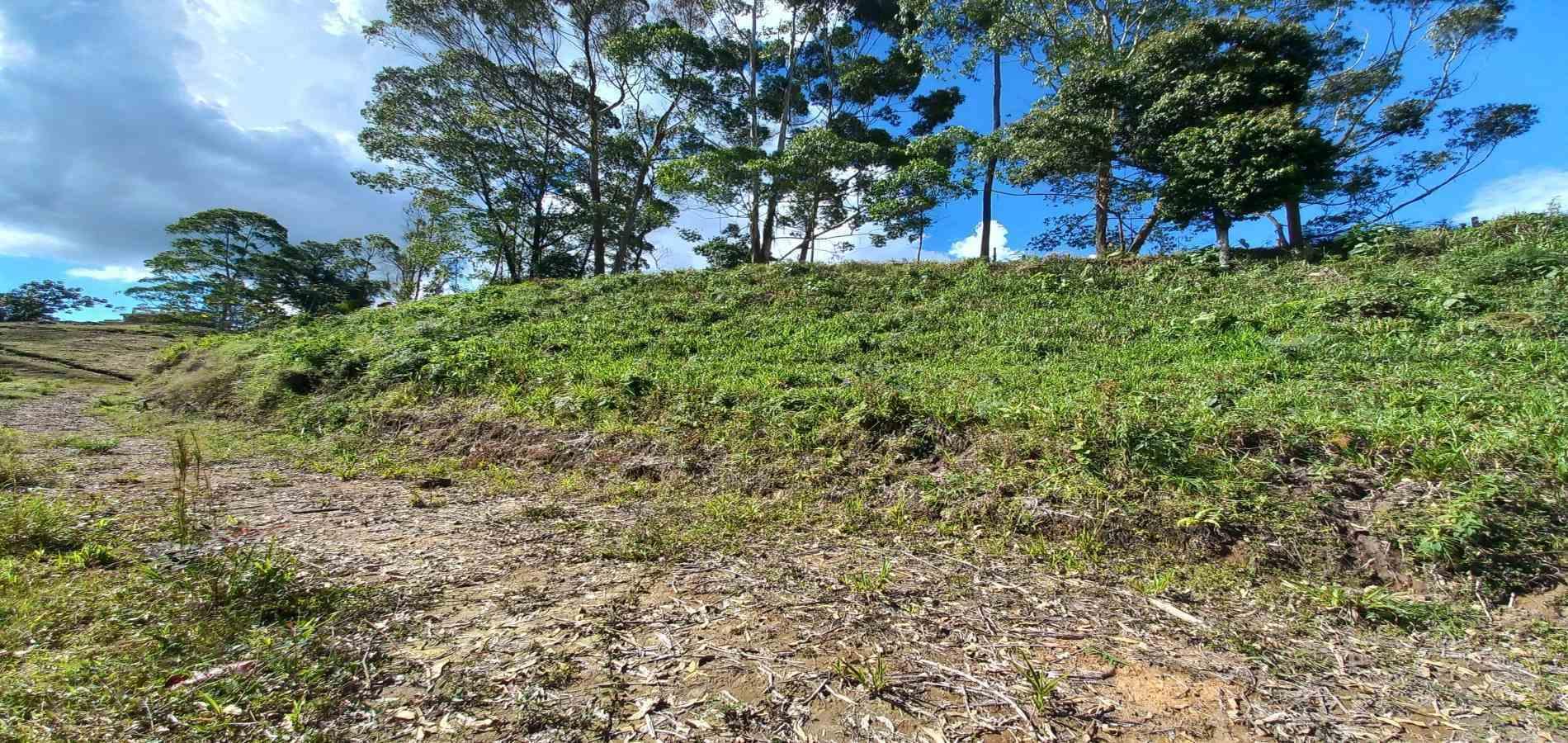 Foto de Lote / terreno en Venta en Otro, Dosquebradas - 3 - 279067985