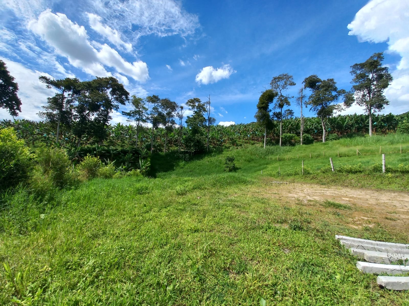 Foto de Lote / terreno en Venta en Vereda altamira, Pereira - 14 - 279067754
