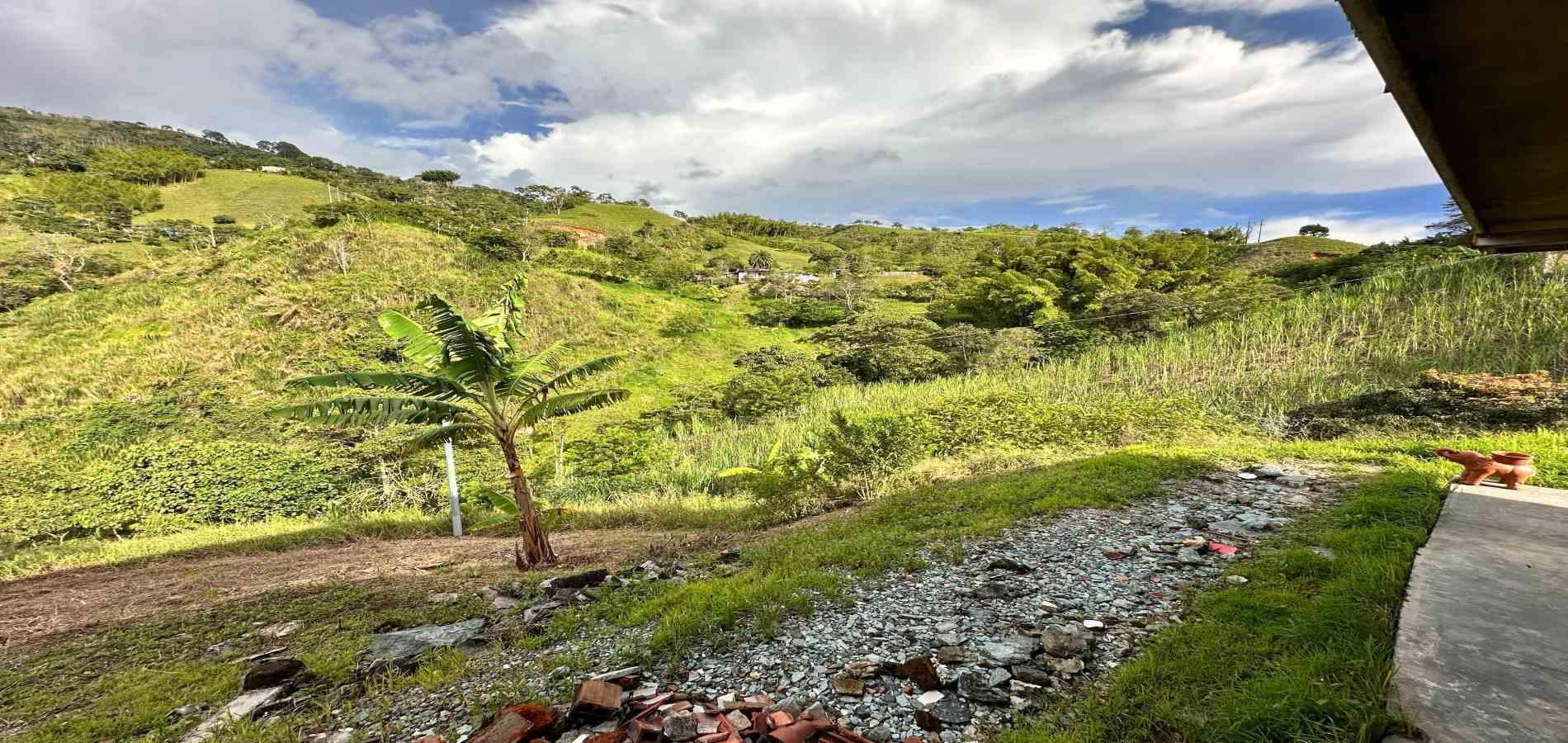 Foto de Finca en Arriendo en La florida, Filadelfia - 14 - 279065106