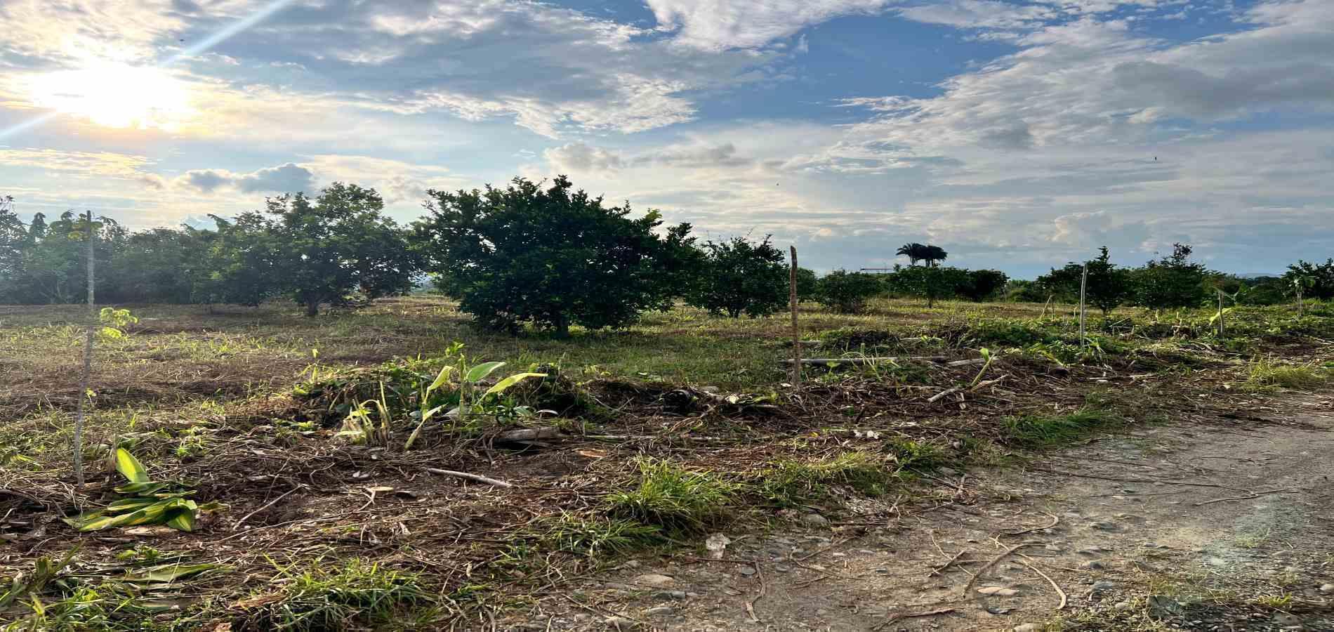 Foto de Lote / terreno en Venta en Armenia, Armenia  - 18 - 279067125