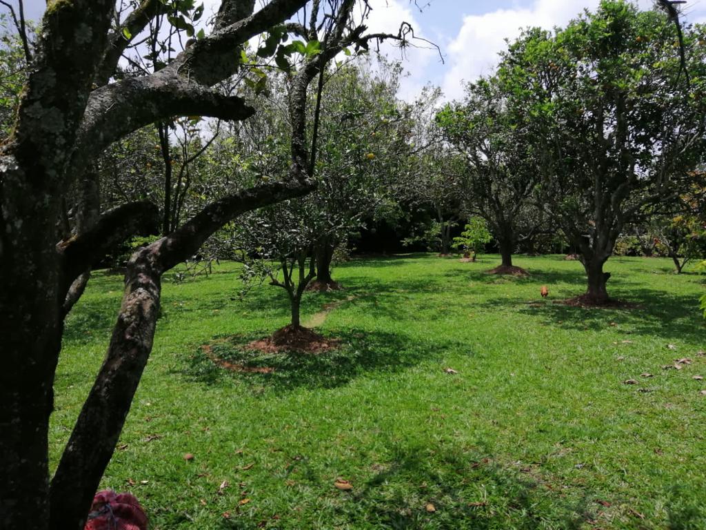Foto de Lote / terreno en Venta en Cerritos, Pereira - 14 - 279025576