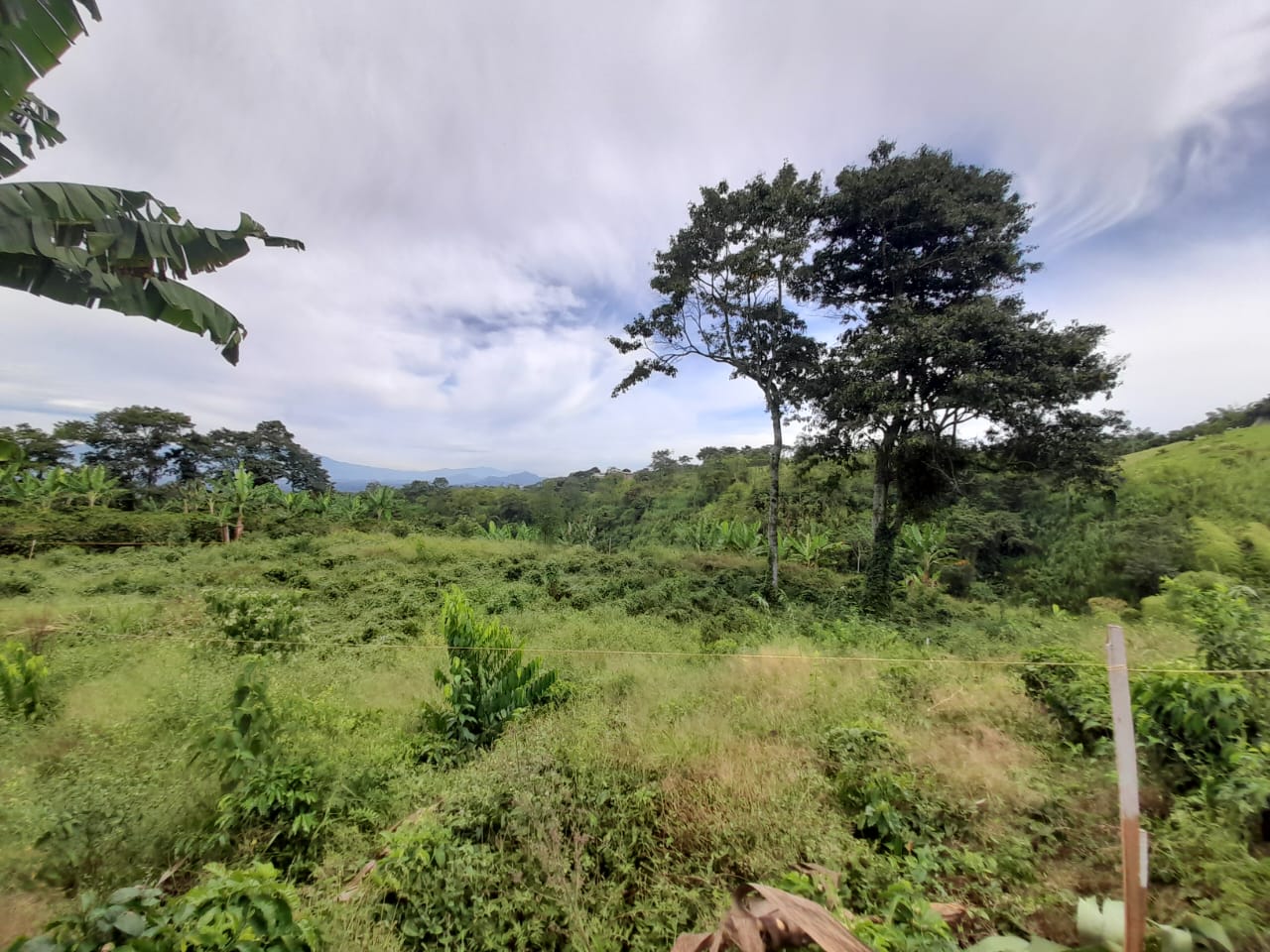 Foto de Lote / terreno en Venta en Arabia, Pereira - 12 - 279059189