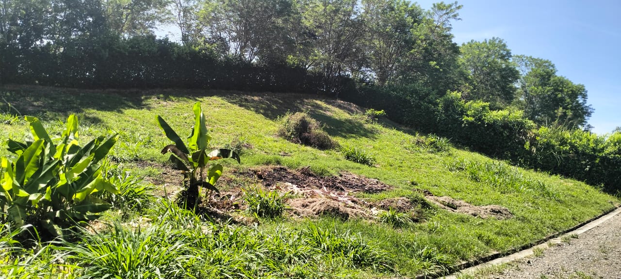 Foto de Lote / terreno para Venta en Palermo, Neira - 279061198