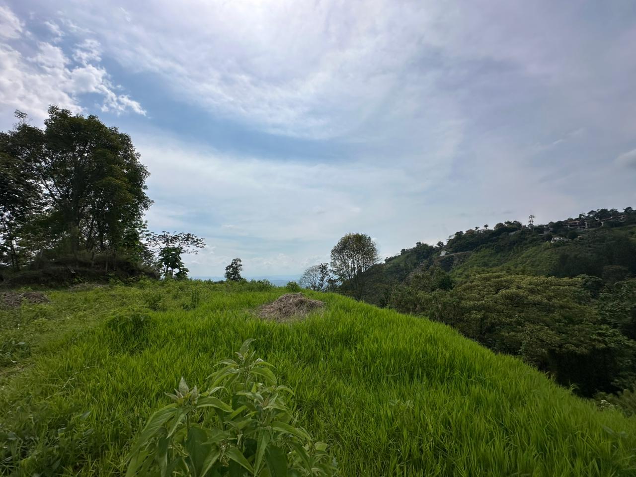 Foto de Lote / terreno en Venta en Arenillo, Manizales - 3 - 279067215
