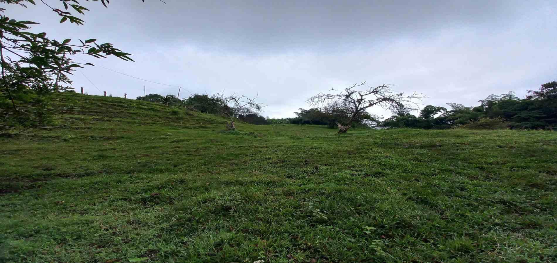 Foto de Lote / terreno en Venta en Veracruz, Santa rosa de cabal - 15 - 279066398