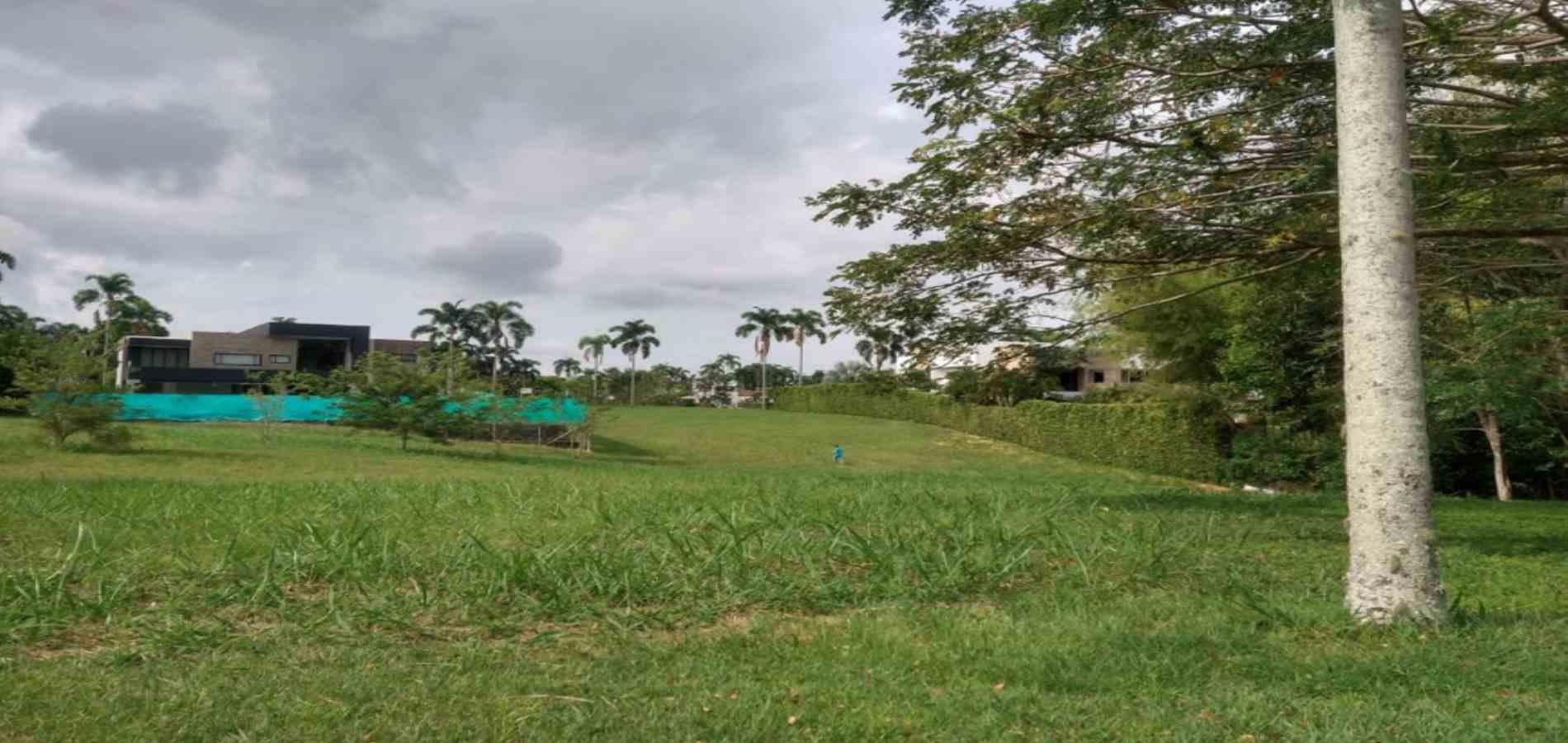 Foto de Lote / terreno para Venta en Cerritos, Pereira - 279056332