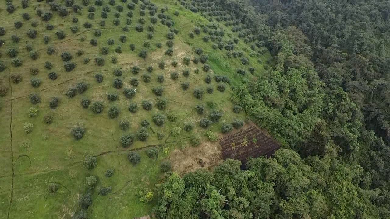 Foto de Lote / terreno en Venta en Llanitos, Villamaria - 6 - 279054085