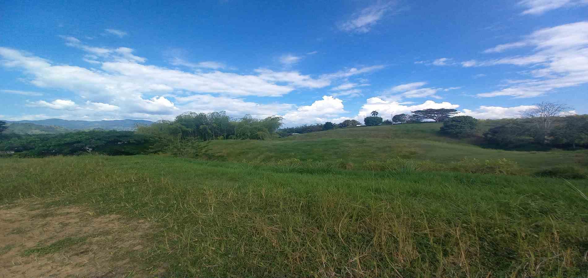 Foto de Lote / terreno en Venta en Cerritos, Pereira - 4 - 279064714
