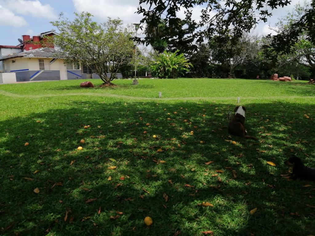 Foto de Lote / terreno en Venta en Cerritos, Pereira - 6 - 279025576