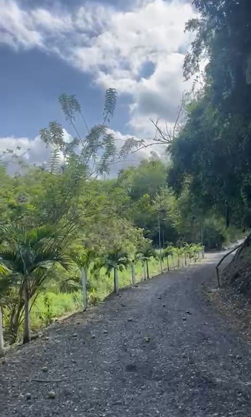 Foto de Lote / terreno para Venta en Via alcala, Pereira - 279060936