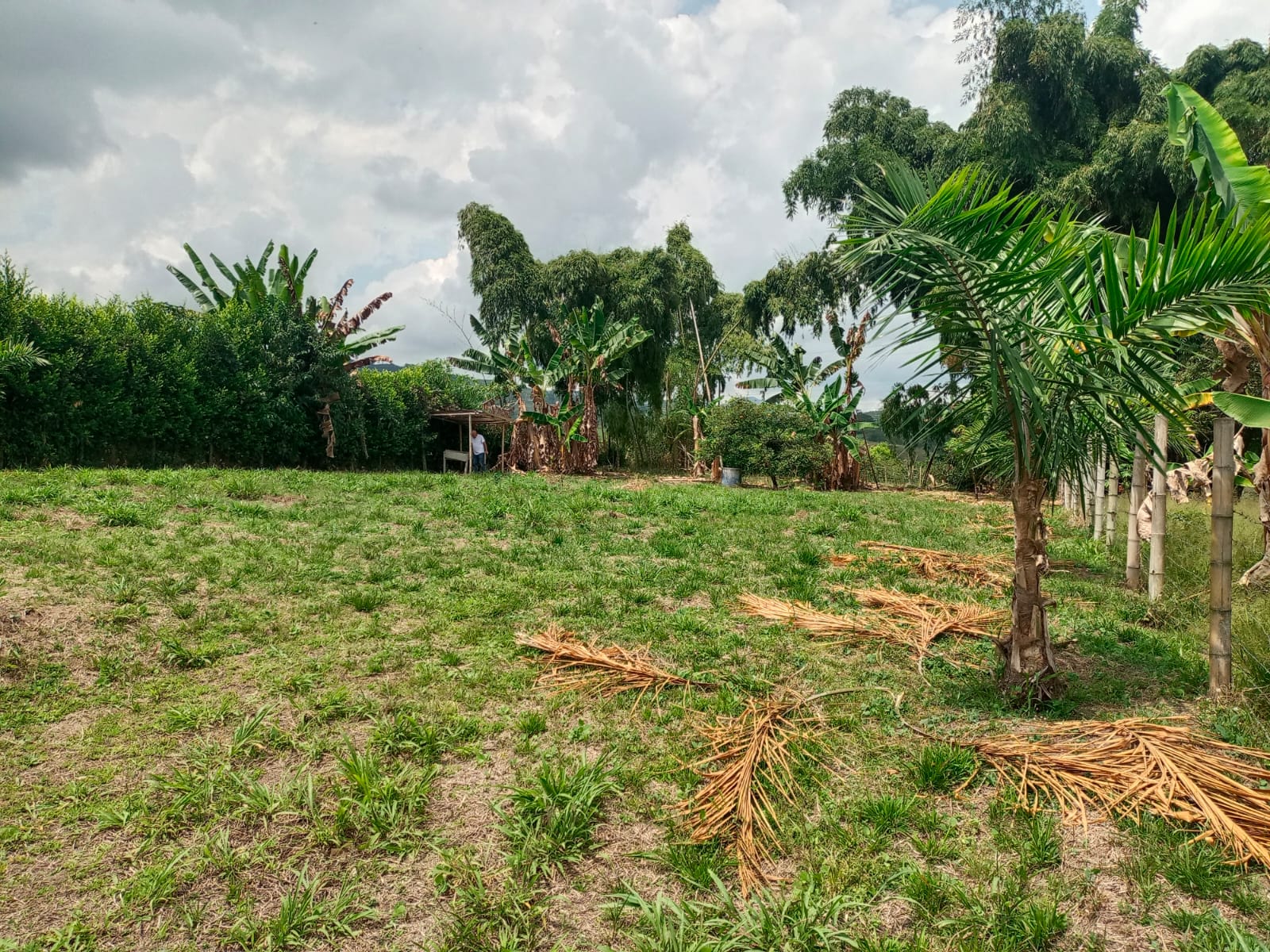 Foto de Lote / terreno en Venta en Santa rosa de cabal, Santa rosa de cabal - 2 - 279059203