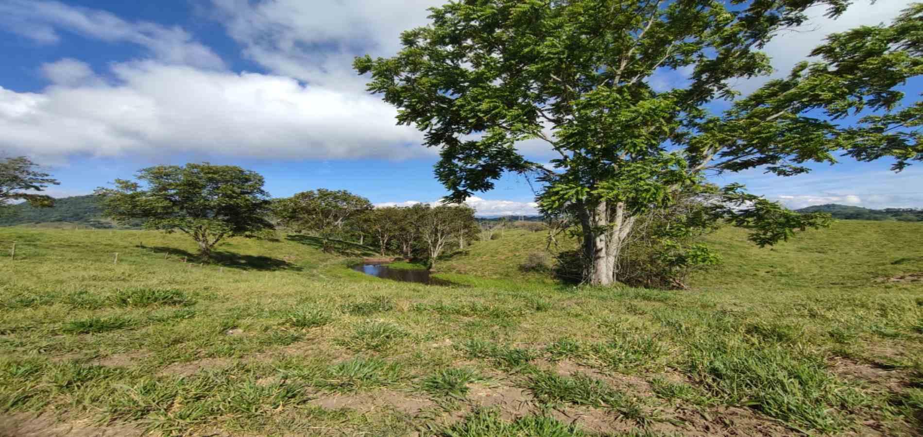Foto de Lote / terreno en Venta en Cerritos, Pereira - 2 - 279064552