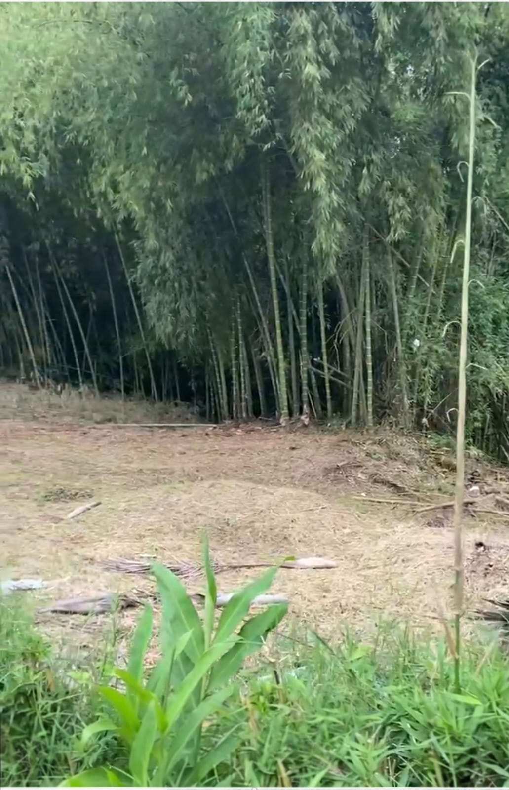 Foto de Lote / terreno en Venta en Via armenia, Pereira - 3 - 279066595