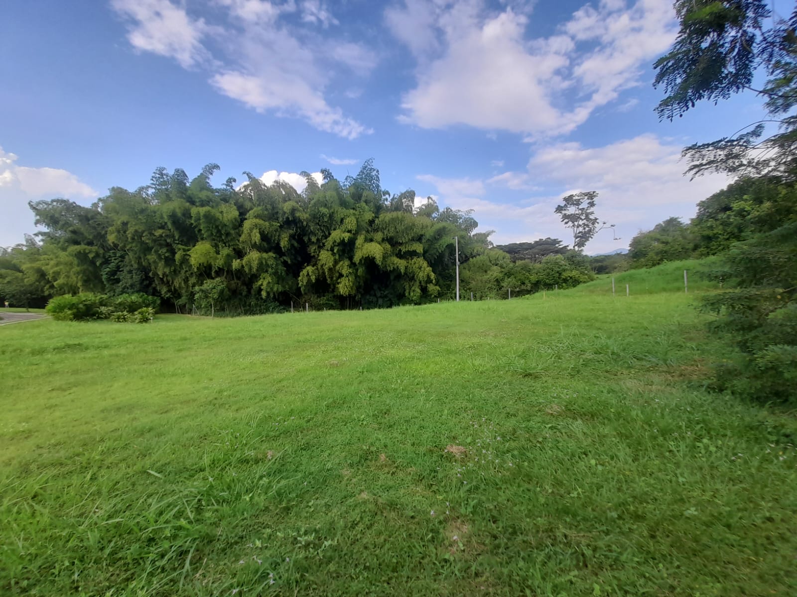Foto de Lote / terreno para Venta en La floresta, Pereira - 279065198