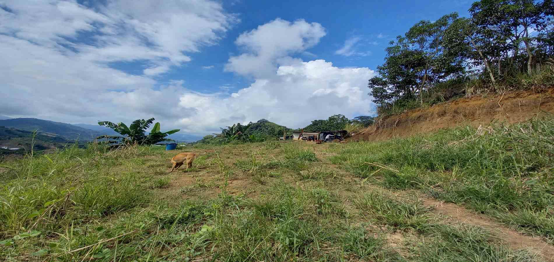Foto de Finca en Venta en San peregrino, Manizales - 25 - 279061656