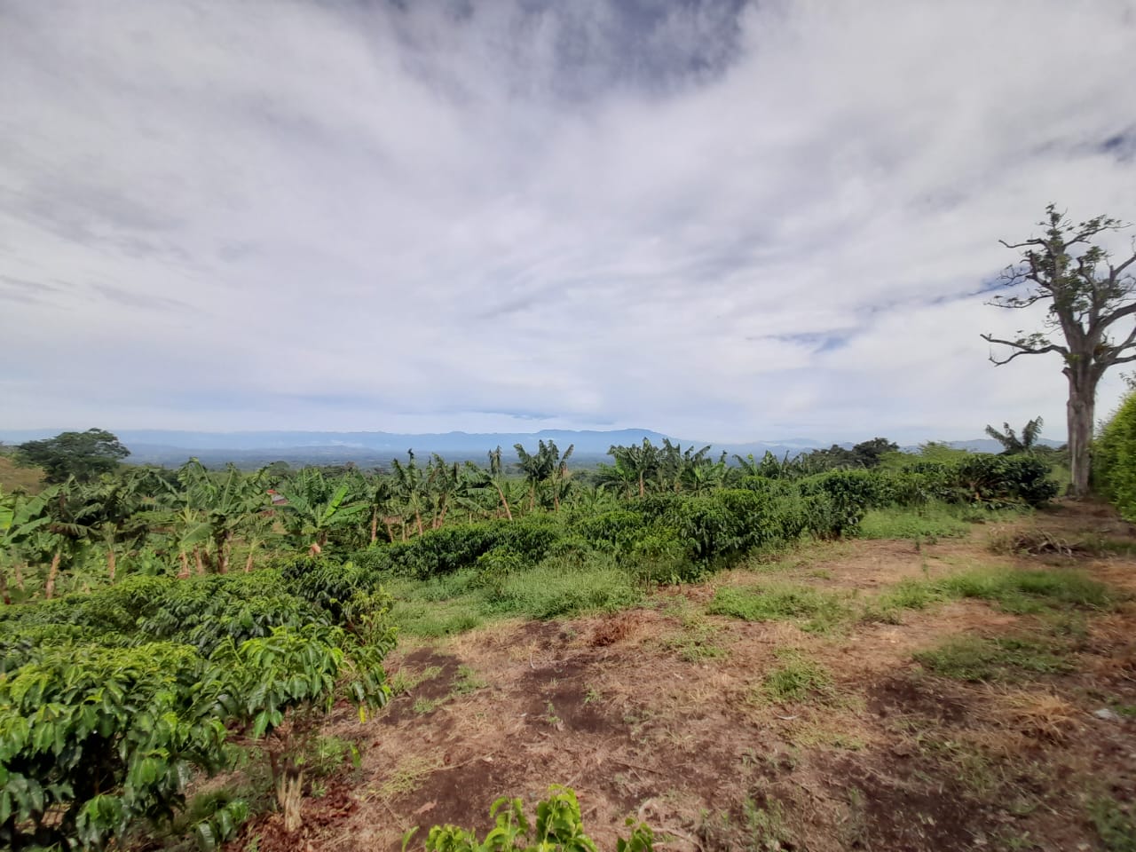 Foto de Lote / terreno en Venta en Arabia, Pereira - 8 - 279059189