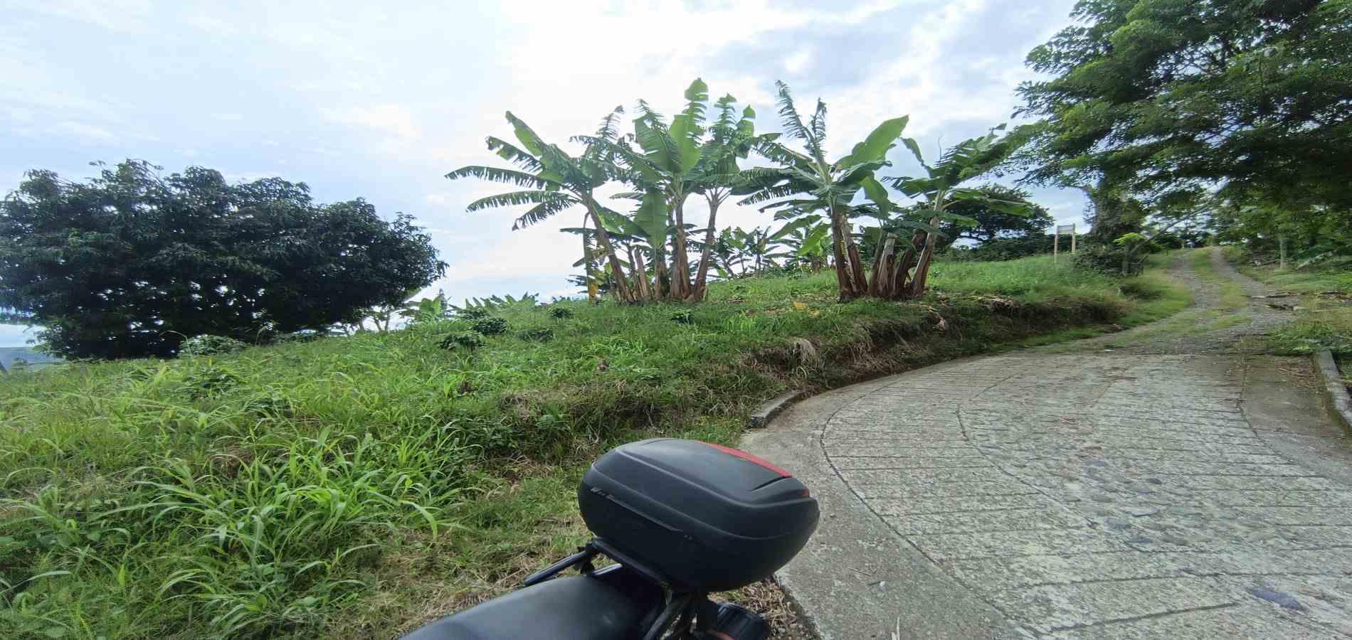 Foto de Lote / terreno en Venta en San peregrino, Manizales - 27 - 279068552